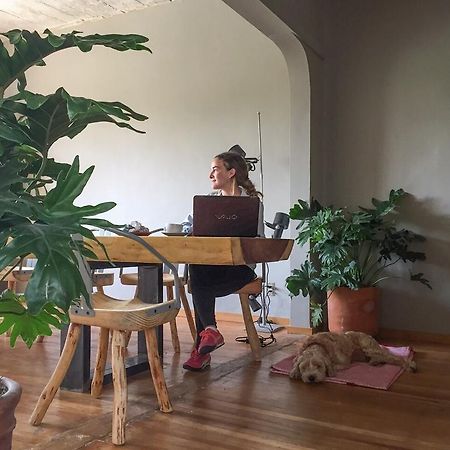 Chaya B&B Boutique Mexikóváros Kültér fotó