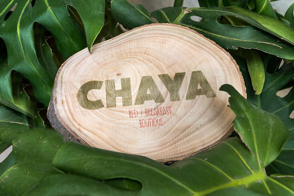 Chaya B&B Boutique Mexikóváros Szoba fotó