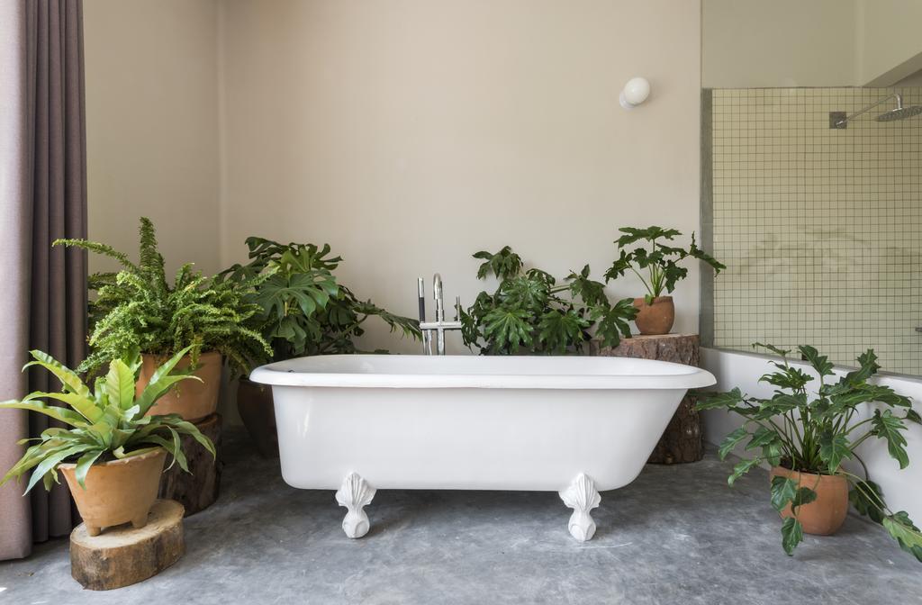 Chaya B&B Boutique Mexikóváros Kültér fotó