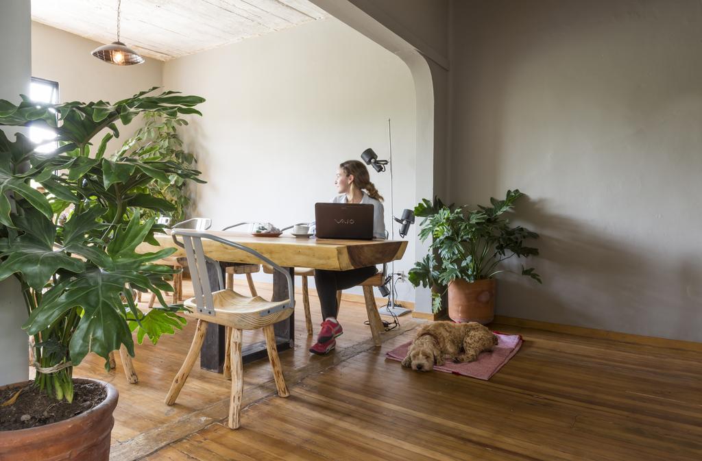 Chaya B&B Boutique Mexikóváros Kültér fotó