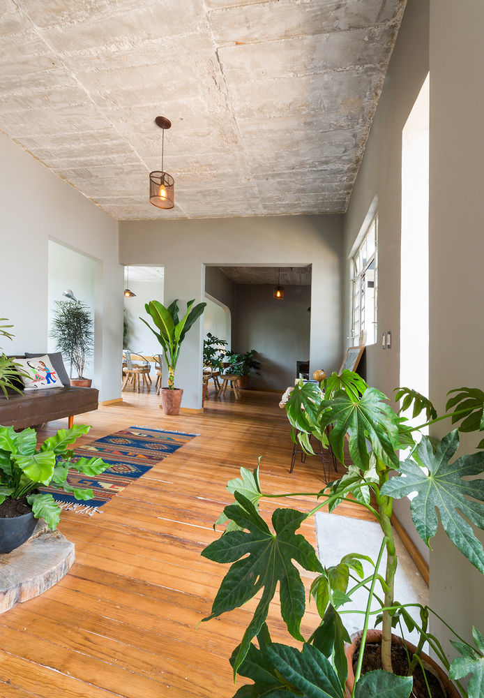 Chaya B&B Boutique Mexikóváros Kültér fotó